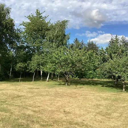 8 Person In Hojslev-by Traum